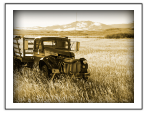 Rustic Collection