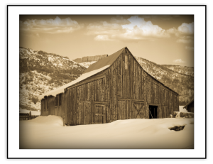 Rustic Collection